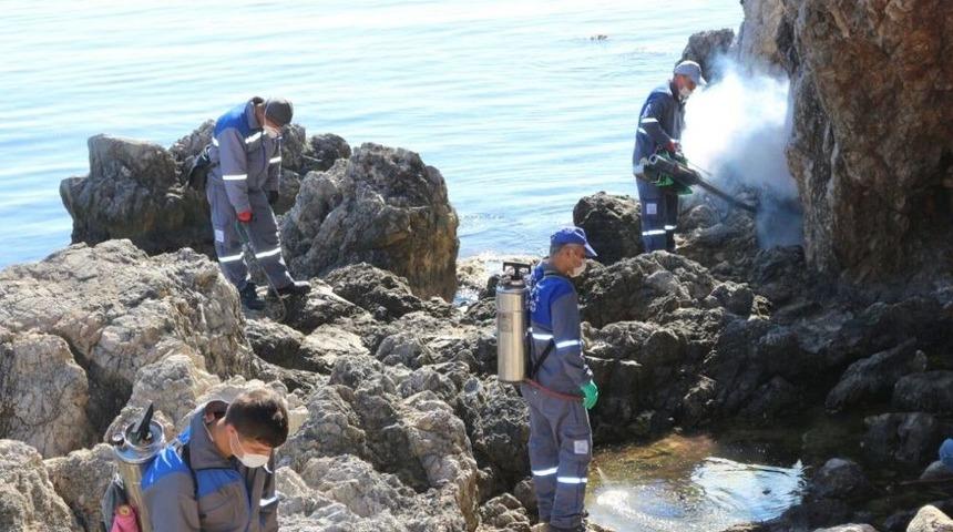 Sinekle M&uuml;cadele