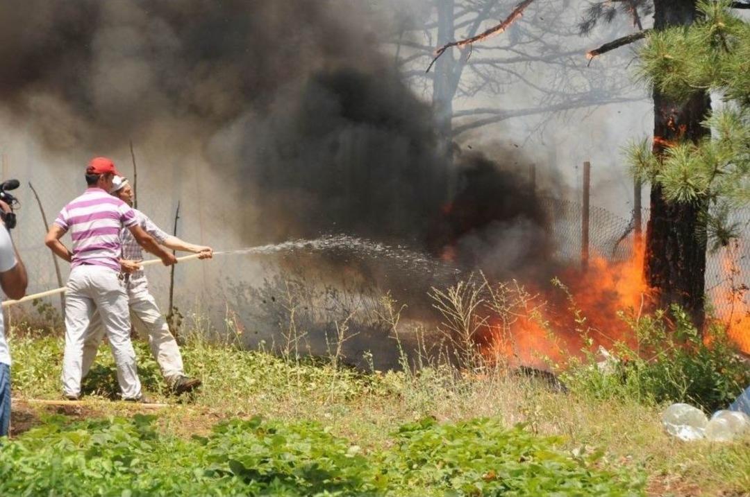 Dinamitlerin K&uuml;le &Ccedil;evirdiği Orman Yeşermeye Başladı