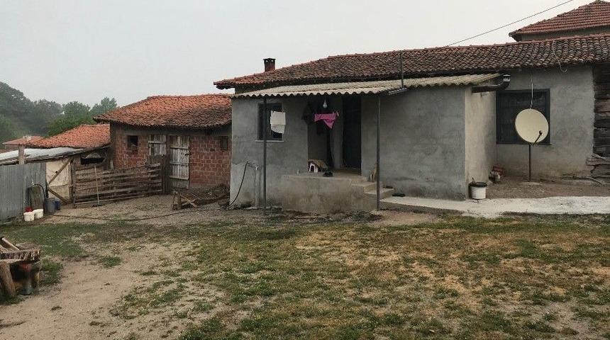 &Ccedil;anakkale&rsquo;de Deprem!