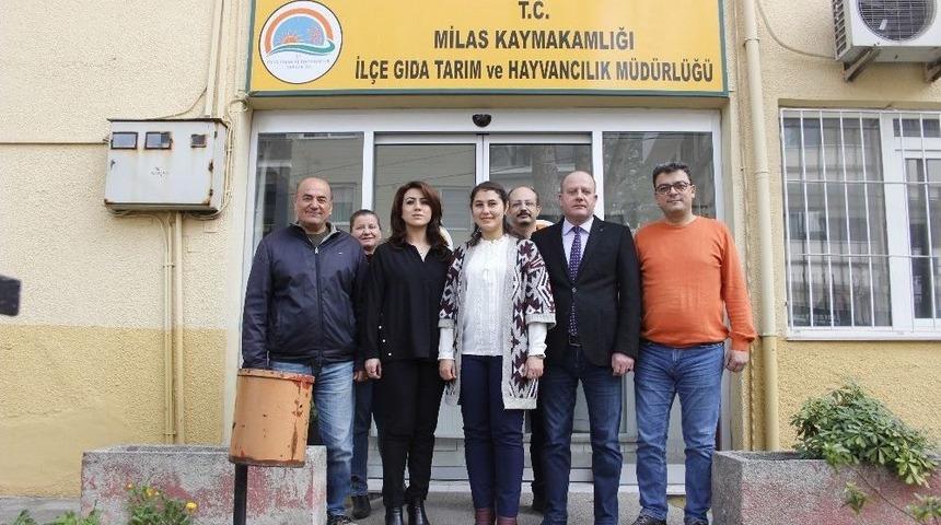 Milaslı &Ccedil;ift&ccedil;ilere 30 Milyonluk Hibe Desteği