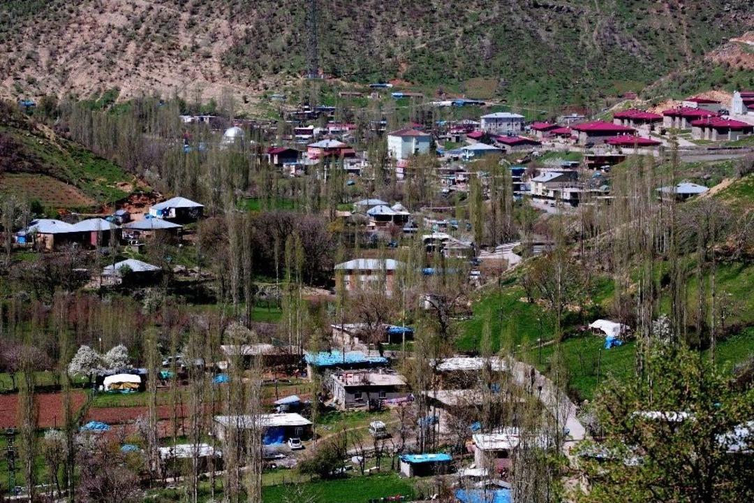 Nesli T&uuml;kenmekte Olan Semenderler K&ouml;yl&uuml;n&uuml;n İ&ccedil;me Suyundan &Ccedil;ıktı