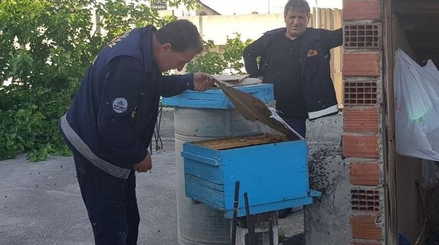 İtfaiye Eri Arıları &Ccedil;ıplak Elle Topladı