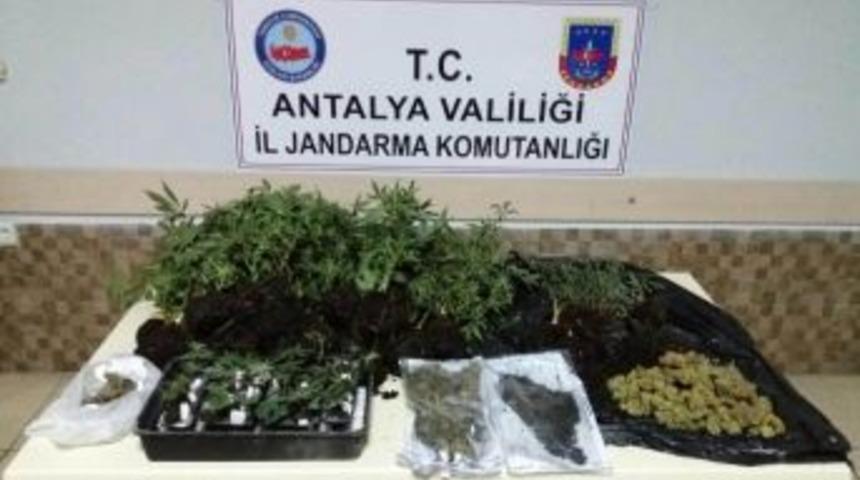 Antalya’da Uyuşturucu Operasyonu