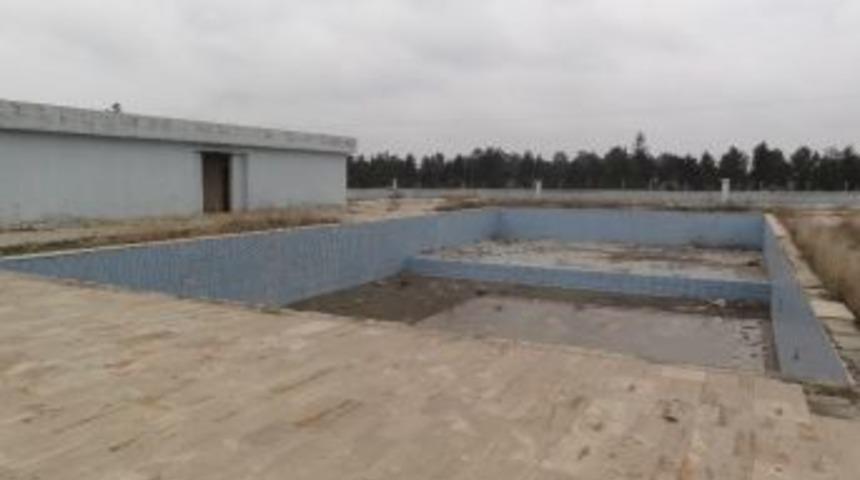 Ceylanpınar Olimpik Y&uuml;zme Havuzu İstiyor