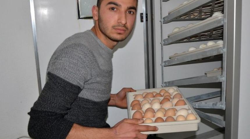 Hobi İ&ccedil;in Başladı, Şimdi İhracatını Yapıyor