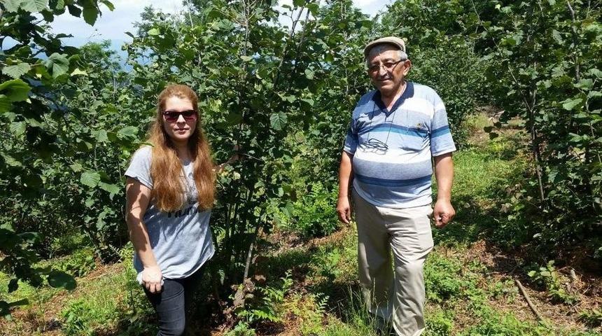 Ziraat Odası Hastalık Ve Zararlılarla M&uuml;cadele Ediyor