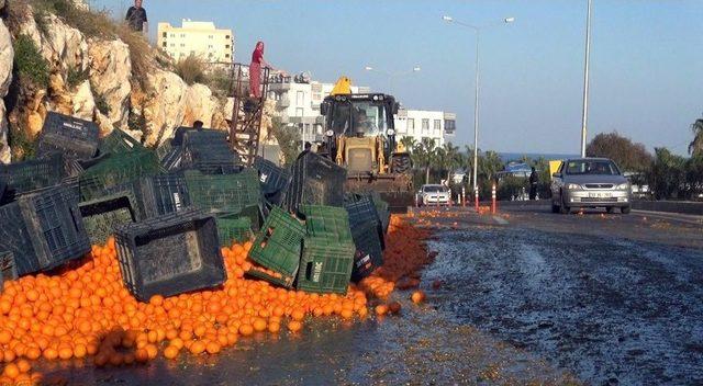 Tırdan Dökülen Narenciye Karayolunu Trafiğe Kapattı