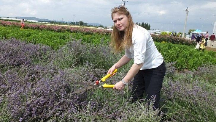 Balıkesir Aromatik Bitki Üretim Ve Eğitim Merkezi Oldu G2