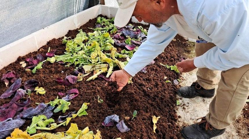 &Ccedil;eşmeli &Ccedil;ift&ccedil;iler Solucan G&uuml;brelerini Kendileri &Uuml;retiyor