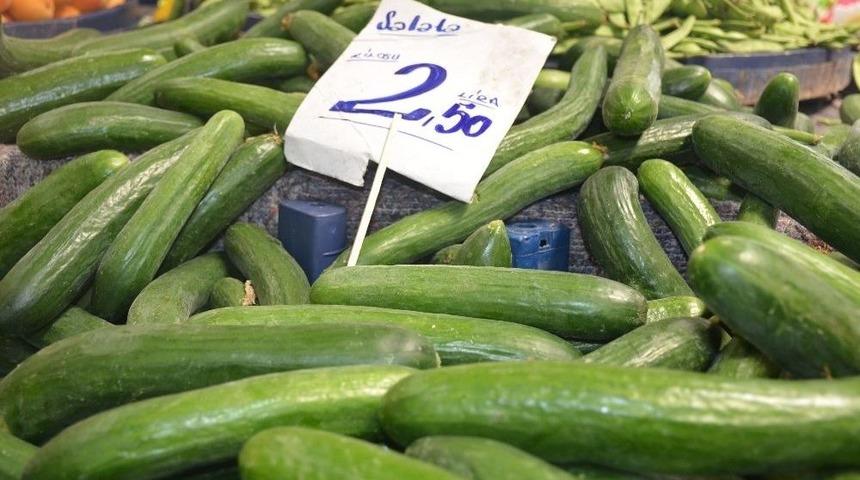 Yerli Domates Ve Salatalığın Kilosu 2,5 Tl