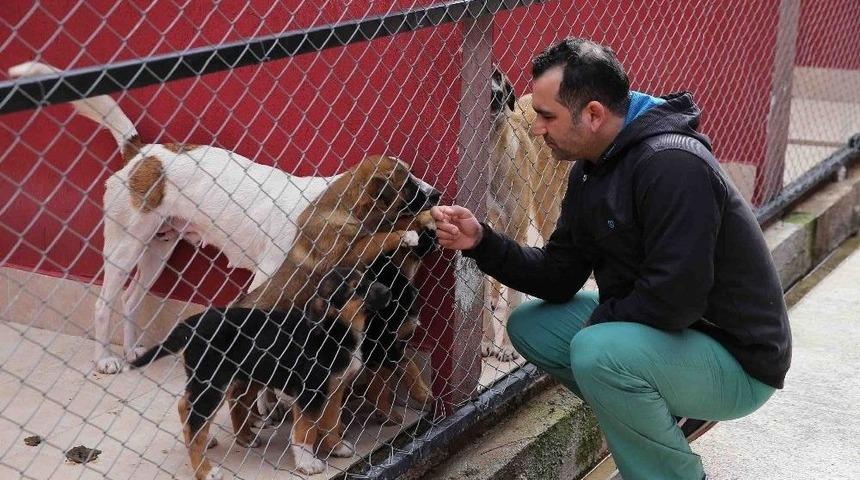 Can Dostlara 5 Yıldızlı Yuva