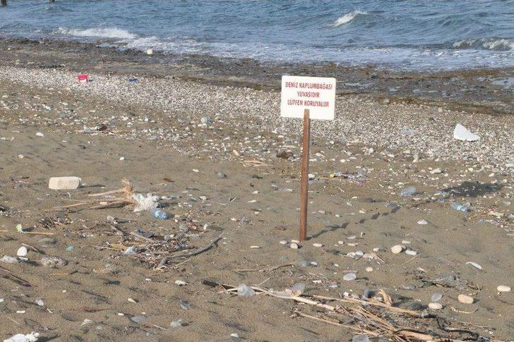 (özel) Dünyanın Gözünün Kaldığı Sahillerde İnsanlık Ayıbı G3