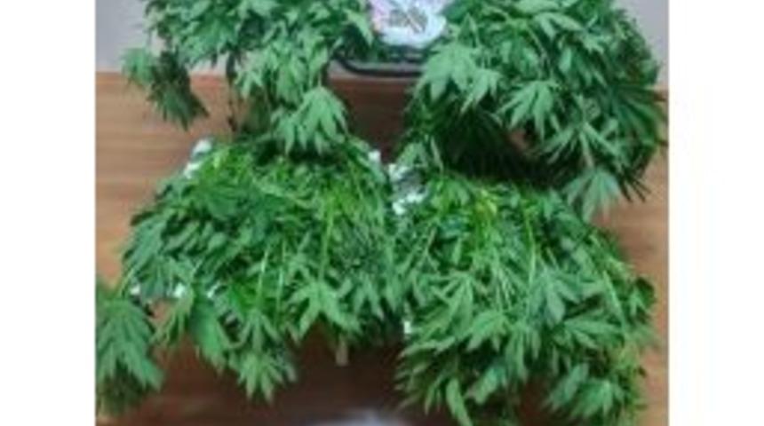 Afyonkarahisar Emniyeti Zehir Tacirlerine Göz Açtırmıyor