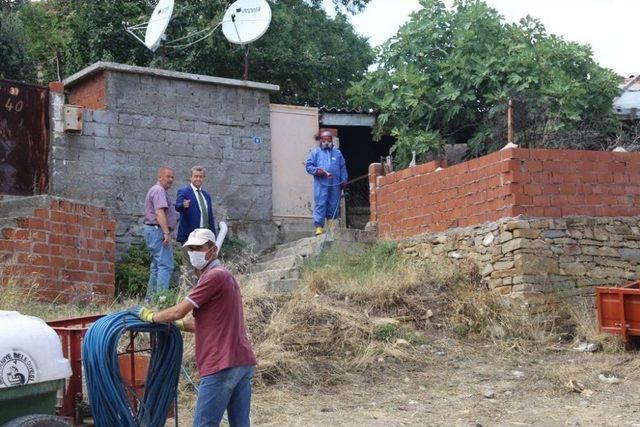 Burhaniye’de Hayvan Barınakları İlaçlanıyor