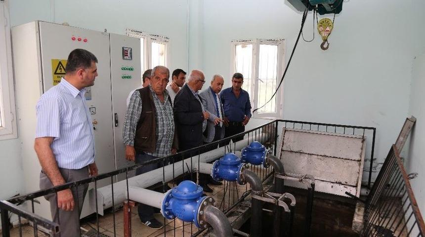 Mercimek Terfi Merkezi Yenilendi