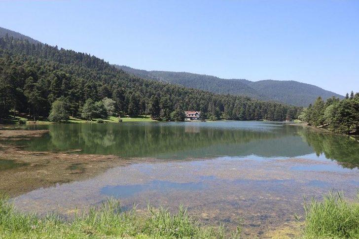 Gölcük Tabiat Parkı’na 25 Bungalov Ev İnşa Ediliyor G5