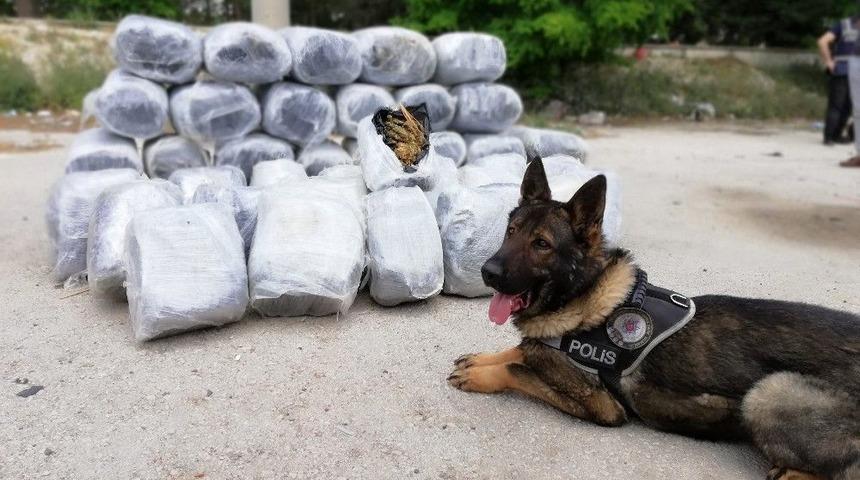 Boş Meyve Kasalarının Arasına Gizlenmiş 210 Kilo Esrar Ele Ge&ccedil;irildi