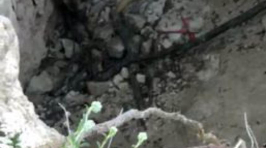 K&uuml;tahya&rsquo;da İnşaat &Ccedil;ukuruna D&uuml;ş&uuml;p Yaralanan Kurt Kurtarıldı