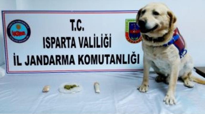 Isparta&rsquo;da Yolcu Otob&uuml;s&uuml;nde Uyuşturucu Ele Ge&ccedil;irildi