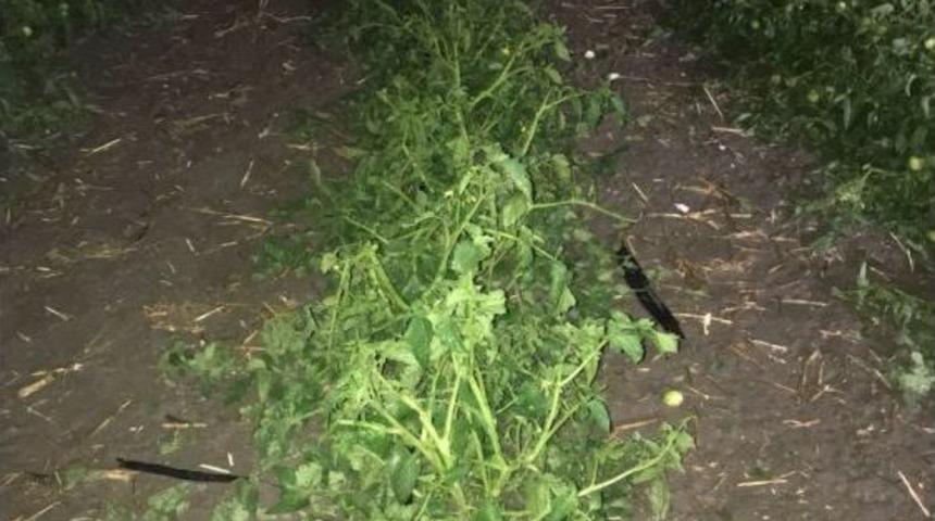 Karacabey&rsquo;i Dolu Vurdu