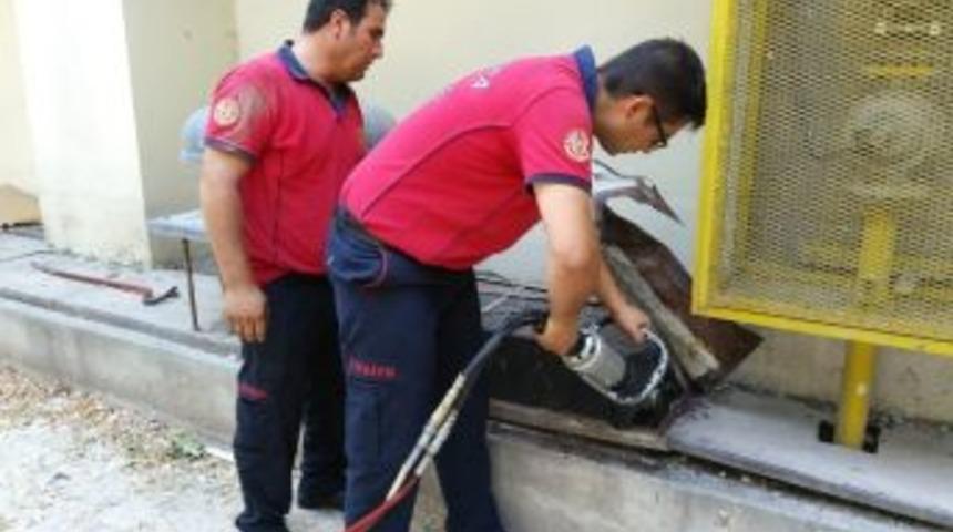 Havalandırma Boşluğuna D&uuml;şen Yavru Kedi Kurtarıldı