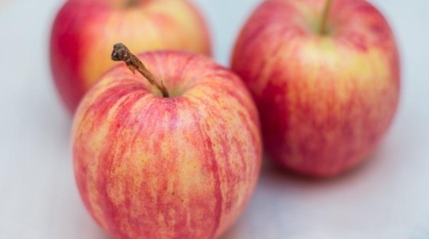 Yerfıstığı Ezmeli Lezzetli Elma Sandviçler