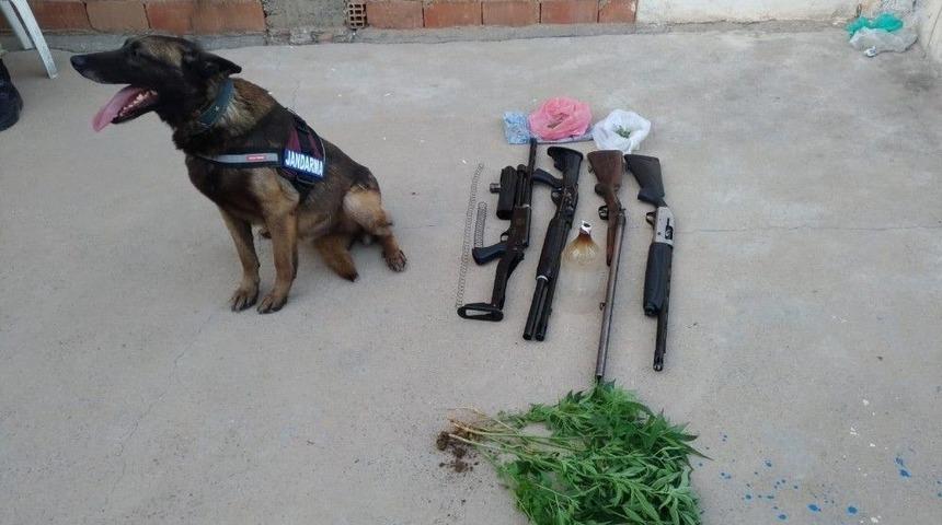 Mardin Uyuşturucu Operasyonu