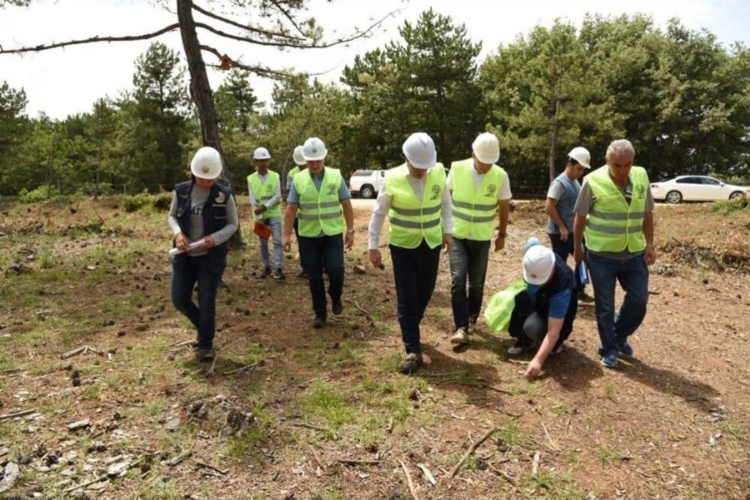 Tensil Sahalarında Uygulanan &Ccedil;imlenme &Ccedil;alışmaları Başarılı