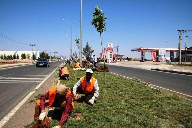 Viranşehir’de Değişim Atağı Sürüyor