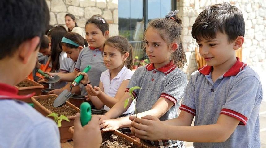 Bucalı &Ccedil;ocuklar Tarımı &Ouml;ğreniyor