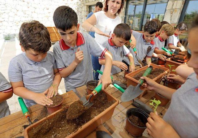 Bucalı Çocuklar Tarımı Öğreniyor