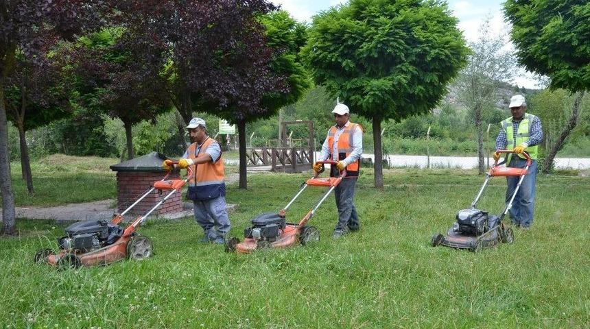 T&uuml;rbin Mesire Alanında Bakım Ve Temizlik &Ccedil;alışmaları