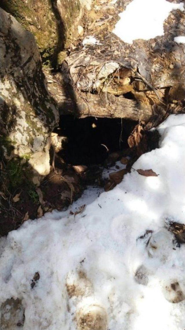 Tunceli’de 4 Sığınak İmha Edildi