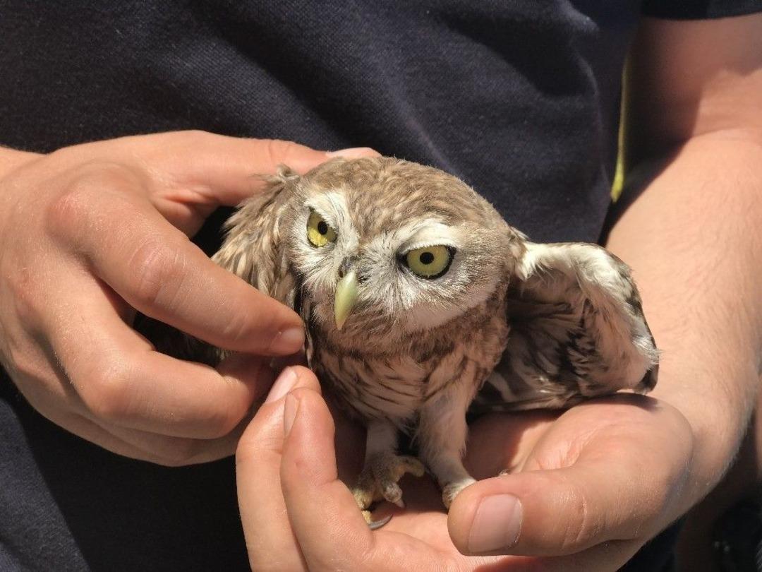 Polis Memurundan &Ouml;rnek Davranış