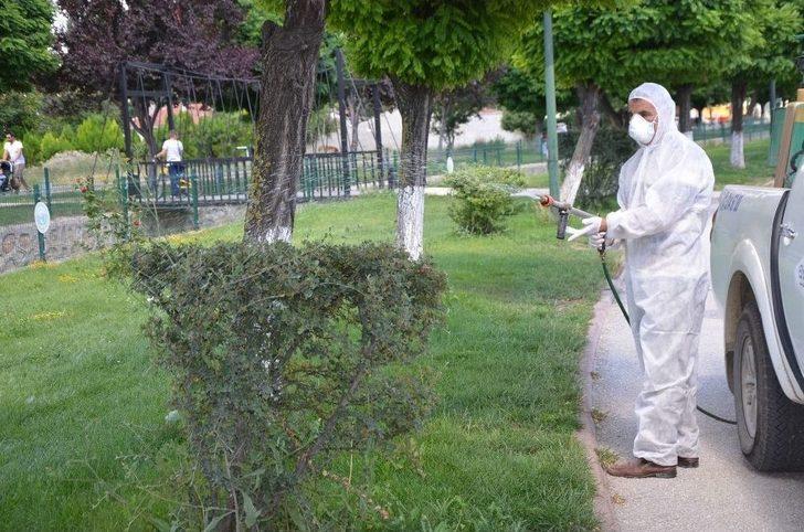 Et Yiyen Örümceğe Karşı Alarma Geçildi G1