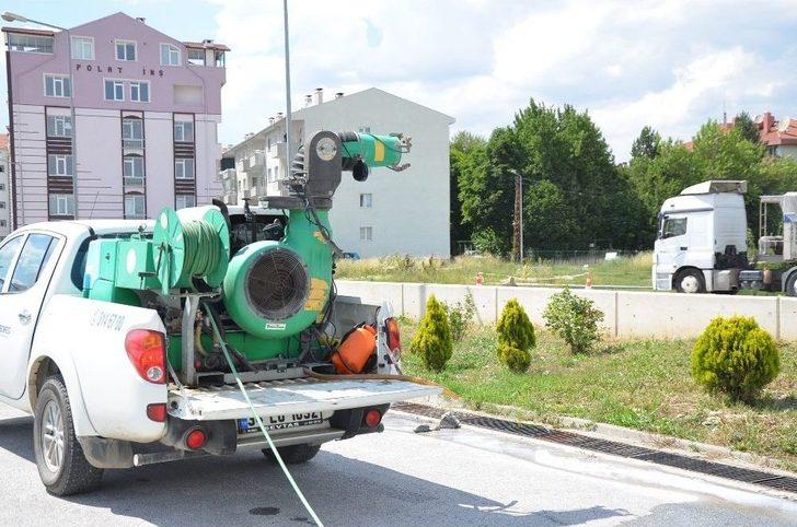 Et Yiyen Örümceğe Karşı Alarma Geçildi G2