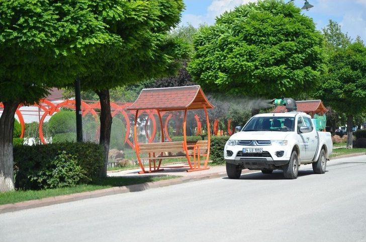 Et Yiyen Örümceğe Karşı Alarma Geçildi G3