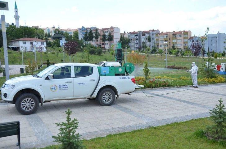 Et Yiyen Örümceğe Karşı Alarma Geçildi G5