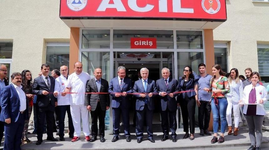 Vali Kam&ccedil;ı Veteriner Hekimlerin G&uuml;n&uuml;n&uuml; Kutladı