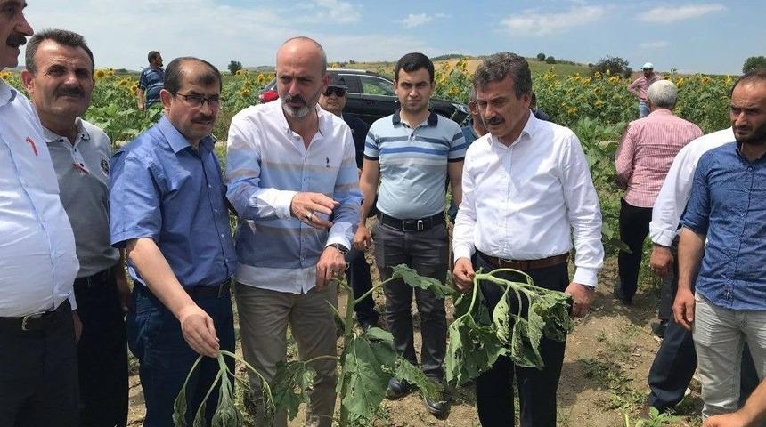 Işık Doludan Zarar Gören Arazileri İnceledi