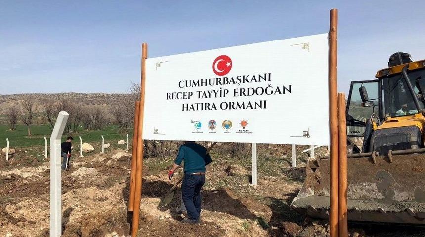 Hani&rsquo;de Cumhurbaşkanı Erdoğan Adına Hatıra Ormanı Oluşturuluyor