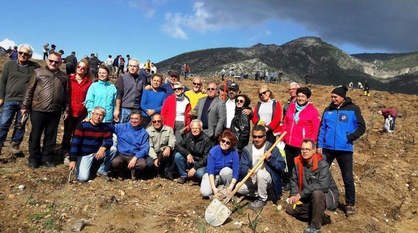 Dat&ccedil;a&rsquo;da Ge&ccedil;en Yıl Yanan Alanlar Afrin Şehitleri Anısına Yeniden Ağa&ccedil;landırıldı
