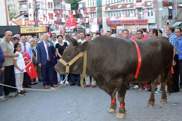 Artvin Kafkasör Festivali Boğalı Kortej Yürüyüşü İle Başladı