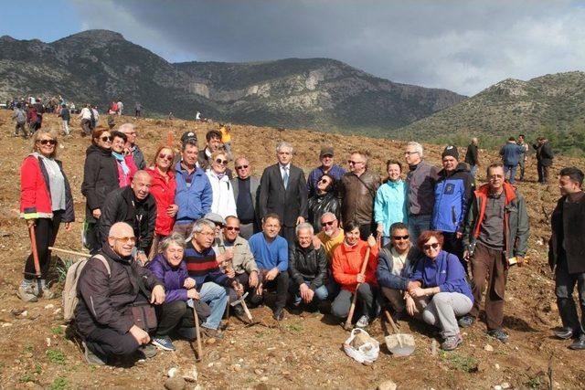 Datça’da Geçen Yıl Yanan Alanlar Afrin Şehitleri Anısına Yeniden Ağaçlandırıldı