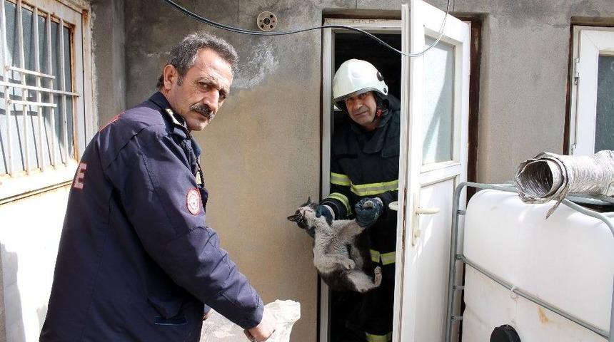 &Ccedil;atıda Mahsur Kalan Kediyi İtfaiye Kurtardı