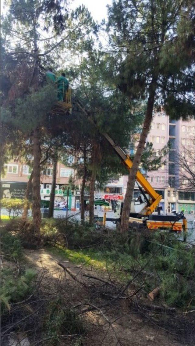 K&uuml;lt&uuml;r Tepesi&rsquo;ndeki Havuz Bakımdan Ge&ccedil;ti 1