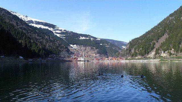 Uzungöl Çamur Ve Alüvyonlardan Temizlendi