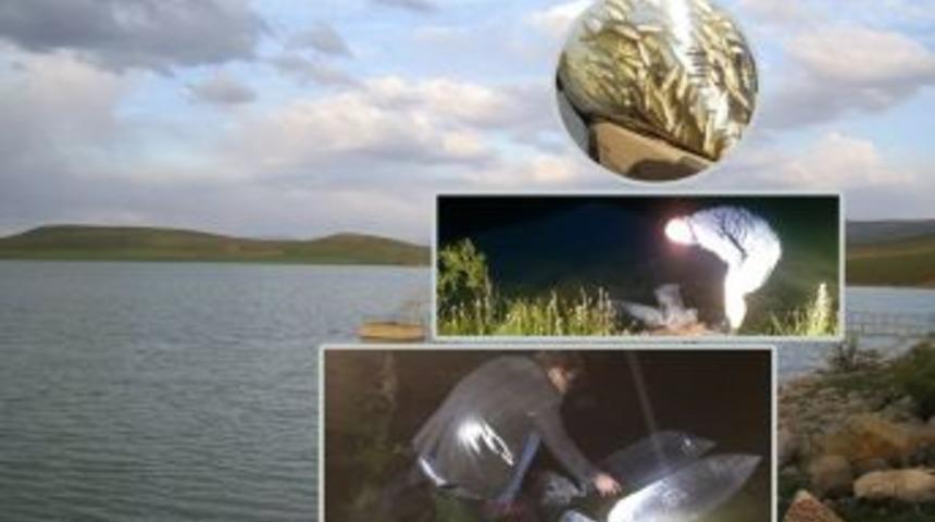 Vali Ali Hamza Pehlivan: &ldquo;balıklandırma &Ccedil;alışmaları Baraj Ve G&ouml;letlere Ayrı Bir Değer Katacak&rdquo;