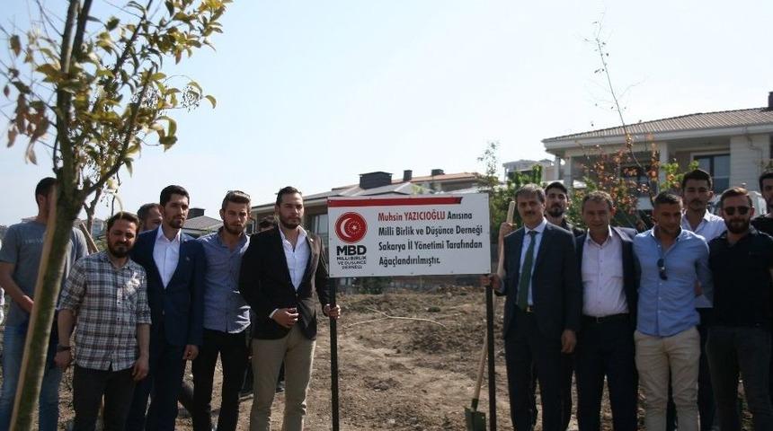 Serdivan&rsquo;da Fidanlar Toprakla Buluştu