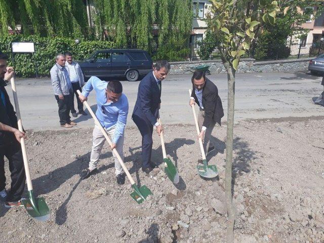 Serdivan’da Fidanlar Toprakla Buluştu